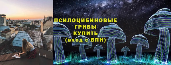экстази Новодвинск