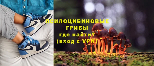 экстази Новодвинск